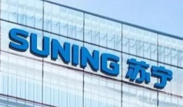 苏宁新闻爆料,揭秘行业最新动态，带你走进苏宁背后的故事