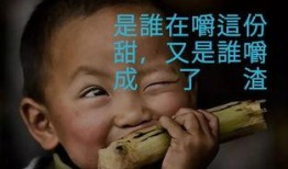 我是谁在线观看,一场关于自我认知的在线探索之旅